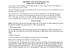 Nghị quyết 35/2010/NQ-HĐND cơ cấu nguồn vốn đầu tư đường giao thông