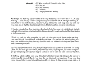 Công văn 2239/TTg-KTN năm 2010 khai thác vận chuyển cây cảnh từ rừng tự nhiên