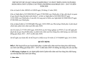 Quyết định 08/QĐ-UBND năm 2011 khôi phục phát triển chăn nuôi heo chất lượng cao Lâm Đồng