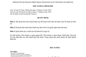 Quyết định 15/QĐ-TTg Kế hoạch triển khai thi hành Luật Thi hành án hình sự