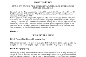 Thông tư 01/2011/TTLT-BLĐTBXH-BYT hướng dẫn tổ chức thực hiện công tác an toàn