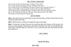 Quyết định 93/QĐ-TTg  Quy chế hoạt động Ban Chỉ đạo Nhà nước