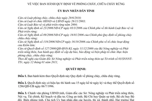 Quyết định 06/2011/QĐ-UBND  phòng cháy, chữa cháy rừng