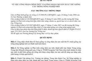 Quyết định 40/QĐ-TT-CLT  Công nhận chính thức giống cây trồng nông nghiệp mới