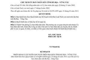 Quyết định số 424/QĐ-UBND năm 2011 triển khai luật nuôi con nuôi Bà Rịa Vũng Tàu