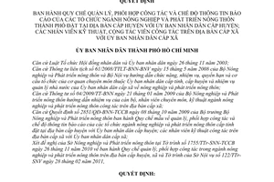 Quyết định 16/2011/QĐ-UBND Quy chế quản lý, phối hợp công tác