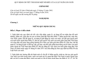 Nghị định 19/2011/NĐ-CP hướng dẫn Luật Nuôi con nuôi