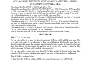 Quyết định 04/2011/QĐ-UBND chức năng nhiệm vụ, quyền hạn và cơ cấu tổ chức