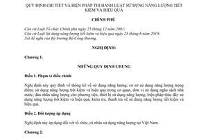 Nghị định 21/2011/NĐ-CP hướng dẫn và biện pháp thi hành Luật Sử dụng năng lượng