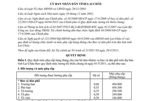 Quyết định 14/2011/QĐ-UBND mức phụ cấp hàng tháng cho bảo vệ dân phố
