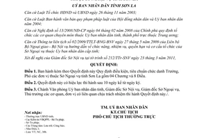 Quyết định 04/2011/QĐ-UBND tiêu chuẩn chức danh trưởng phó Sở Ngoại vụ Sơn La