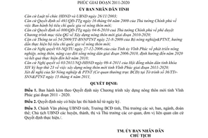 Quyết định 19/2011/QĐ-UBND Chương trình xây dựng nông thôn mới