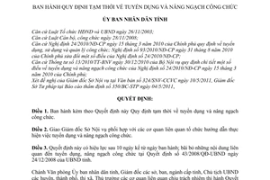 Quyết định 13/2011/QĐ-UBND Quy định tạm thời tuyển dụng và nâng ngạch công chức