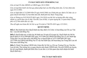 Quyết định 41/2011/QĐ-UBND tổ chức hoạt động của chi cục văn thư tỉnh Đồng Nai
