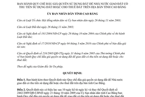 Quyết định 1110/QĐ-UBND 2011 Quy chế đấu giá quyền sử dụng đất giao đất có thu Cao Bằng