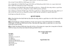 Quyết định 17/2011/QĐ-UBND chức năng nhiệm vụ quyền hạn cơ cấu Sở Nội vụ