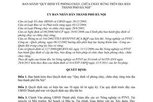 Quyết định 22/2011/QĐ-UBND phòng cháy, chữa cháy rừng