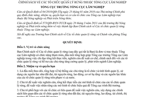 Quyết định 316/QĐ-TCLN-VP chức năng, nhiệm vụ, quyền hạn và cơ tổ chức