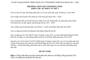 Nghị quyết số 53/2011/NQ-HĐND Quy hoạch phát triển nguồn nhân lực Đồng Tháp giai đoạn 2011-2020