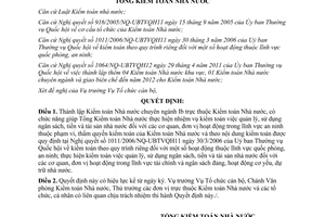 Quyết định 972/QĐ-KTNN thành lập Kiểm toán Nhà nước chuyên ngành Ib