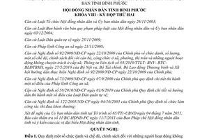 Quyết định 09/2011/NQ-HĐND chế độ chính sách với cán bộ không chuyên trách