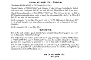 Quyết định 40/2011/QĐ-UBND chức năng nhiệm vụ quyền hạn cơ cấu tổ chức sở y tế