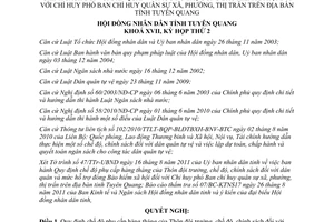 Nghị quyết 28/2011/NQ-HĐND chế độ phụ cấp hàng tháng Thôn đội trưởng