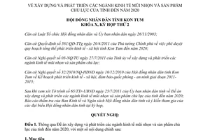Nghị quyết 16/2011/NQ-HĐND phát triển ngành kinh tế mũi nhọn sản phẩm chủ lực Kon Tum đến 2020