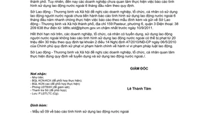 Công văn 8080/SLĐTBXH-LĐ báo cáo tình hình sử dụng lao động nước ngoài