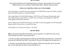 Quyết định 393/QĐ-TCLN hướng dẫn thẩm định Báo cáo quy hoạch bảo vệ