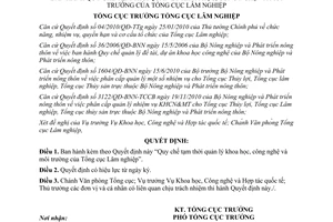 Quyết định 394/QĐ-TCLN-KH&HTQT  Quy chế tạm thời quản lý khoa học, công nghệ