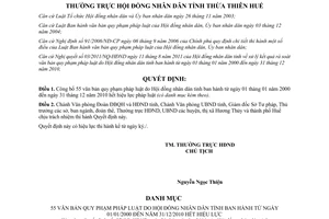Quyết định 27/QĐ-HĐND 2011 công bố văn bản Thừa Thiên Huế hết hiệu lực