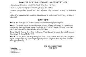 Quyết định 1073/QĐ-TLĐ Quy chế tổ chức, quản lý tài chính Doanh nghiệp