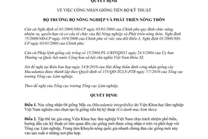 Quyết định 2040/QĐ-BNN-TCLN 2011 về công nhận giống tiến bộ kỹ thuật là Mắc ca Macadamia integrifolla