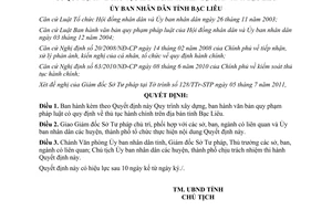 Quyết định 04/2011/QĐ-UBND quy trình ban hành văn bản thủ tục hành chính