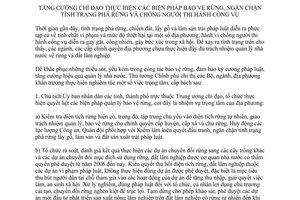 Chỉ thị 1685/CT-TTg tăng cường chỉ đạo thực hiện biện pháp bảo vệ rừng