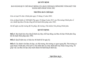 Quyết định 88/QĐ-BCĐTKHP1992 Quy chế hoạt động Ban Chỉ đạo Chính phủ