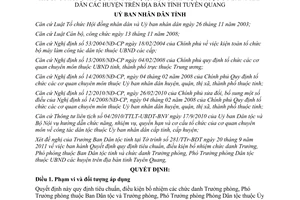Quyết định 20/2011/QĐ-UBND điều kiện bổ nhiệmTrưởng phó phòng Tuyên Quang