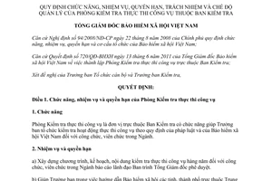 Quyết định 1109/QĐ-BHXH 2011 chức năng nhiệm vụ Phòng Kiểm tra thực thi công vụ Bảo hiểm xã hội