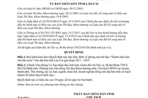 Quyết định 40/2011/QĐ-UBND phong trào thi đua Thanh niên làm chủ đất nước