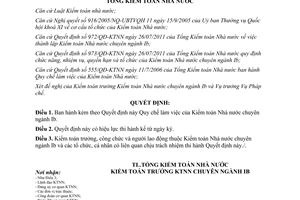 Quyết định 1660/QĐ-KTNN  Quy chế làm việc Kiểm toán Nhà nước chuyên ngành ib