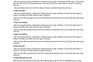 Công văn 394/TTR-THHC thực hiện chế độ báo cáo công tác phòng, chống tham nhũng