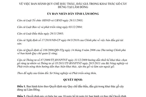 Quyết định 58/2011/QĐ-UBND Quy chế đấu thầu, đấu giá trong khai thác gỗ