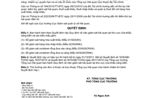 Quyết định 2408/QĐ-TCHQ  Quy định việc giám sát hải quan tại khu vực