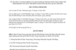 Quyết định 2059/QĐ-TTg  tổ chức và hoạt động Ban Chỉ đạo Trung ương