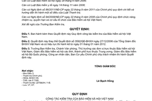 Quyết định 1313/QĐ-BHXH Quy định công tác kiểm tra Bảo hiểm xã hội