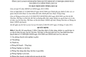 Quyết định 46/2011/QĐ-UBND chức năng nhiệm vụ quyền hạn cơ cấu Sở VHTT&DL