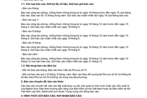 Công văn 5028/BHXH-TCCB chế độ báo cáo công tác phòng, chống tham nhũng