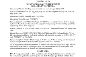 Nghị quyết 25/2011/NQ-HĐND thông qua quy định chính sách đào tạo bồi dưỡng