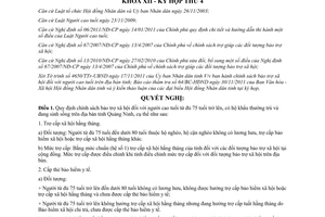 Nghị quyết 48/2011/NQ-HĐND chính sách bảo trợ xã hội người cao tuổi